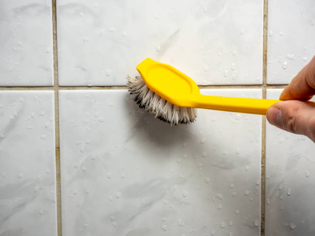 Best Professional Mold Removal  in Morton, WA